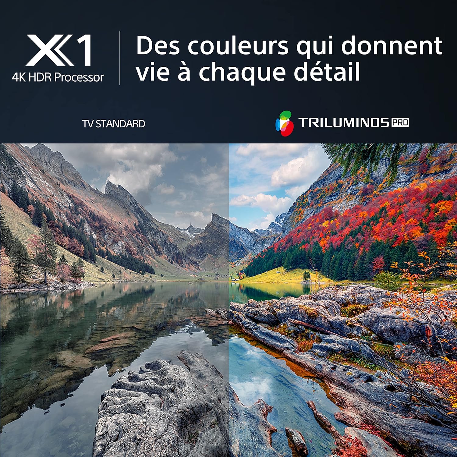 avis et comparatif Sony TV BRAVIA KD-50X80L